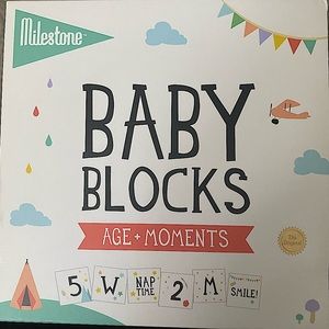 Milestone baby blocks